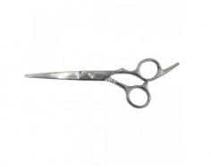 Ножиці перукарські 6.0 прямі професійні SPL