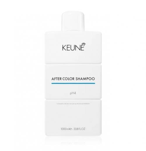 Шампунь після фарбування Tinta After Color Shampoo 1000 мл - фото 1