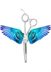 Професійні ножиці для стрижки Преміум колекція 6.0