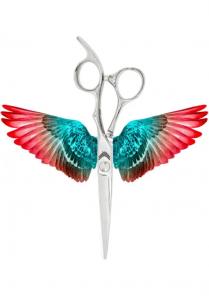 Професійні ножиці для стрижки Елітна колекція 6.0