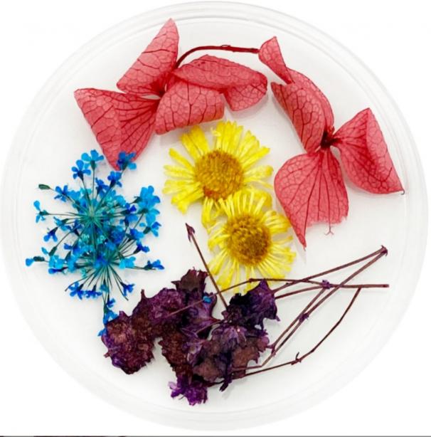 Сухоцвіти в баночці 1шт