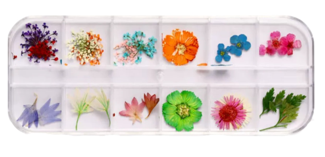 Сухоцвіти в органайзері 