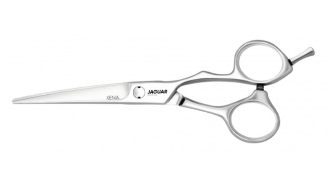 Ножиці прямі 5.5" Xena для стрижки професійні Jaguar Silver Line