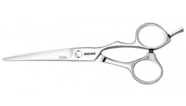 Ножиці прямі 6.0" Xena для стрижки професійні Jaguar Silver Line
